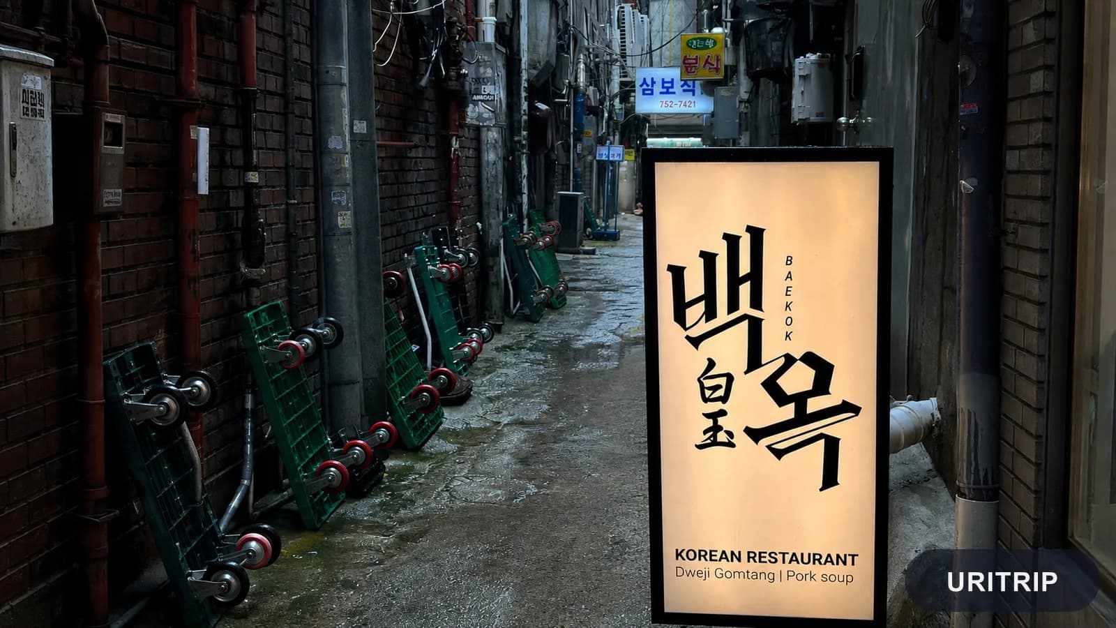 韓国旅行で迷ったらここ！ソウルでおすすめの人気グルメ4選