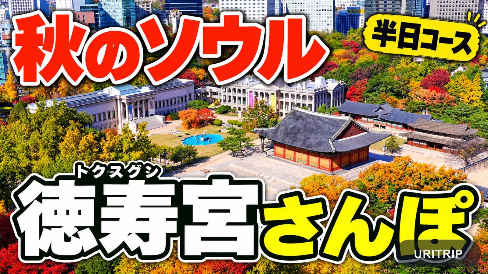 秋のソウルで徳寿宮さんぽ　貞洞展望台とカフェをめぐる半日コース