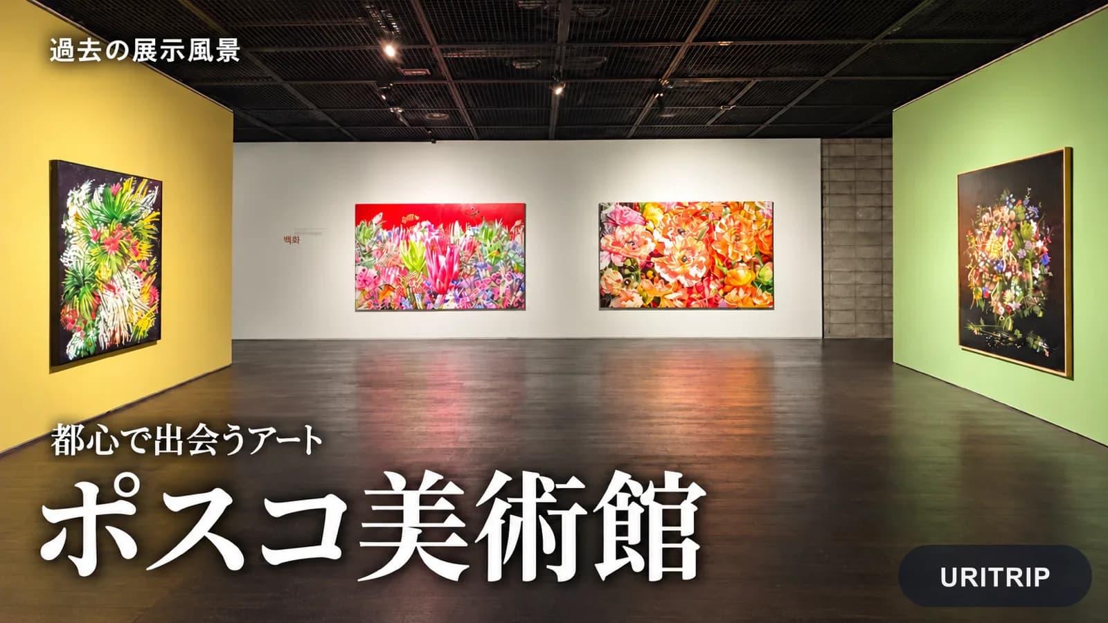 ポスコ美術館の過去の展示風景。明るい色の花の絵が展示された室内