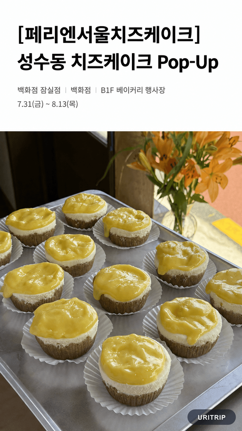 Ferien Seoul チーズケーキ ポップアップ