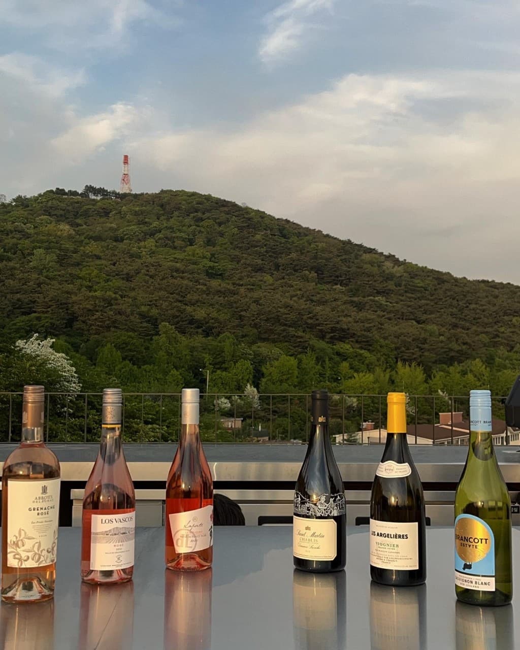 グラスワイン (Glass Wine)