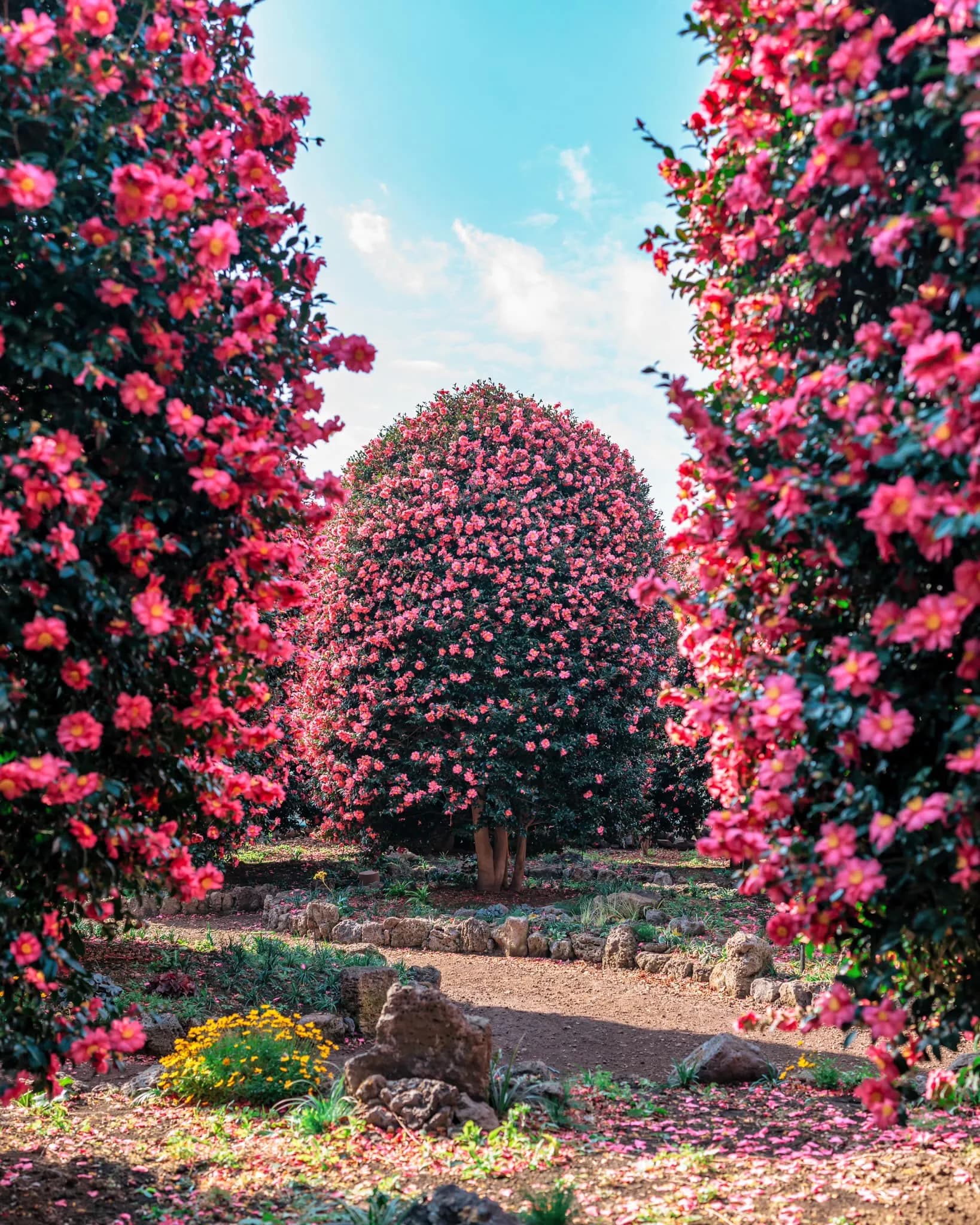 フォトジェニックな映えスポットが満載