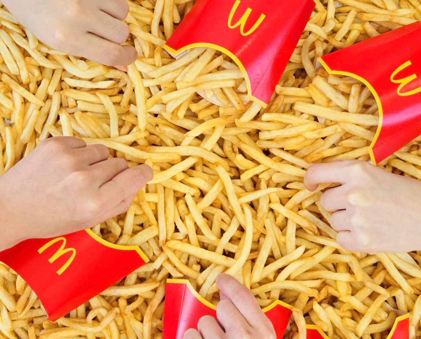 韓国でいま流行りの「ポテトオフ会」