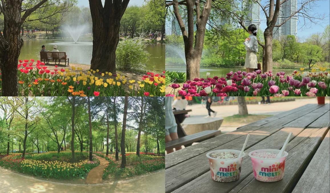 韓国女子に人気のスポットで、季節の花が楽しめる都心の公園