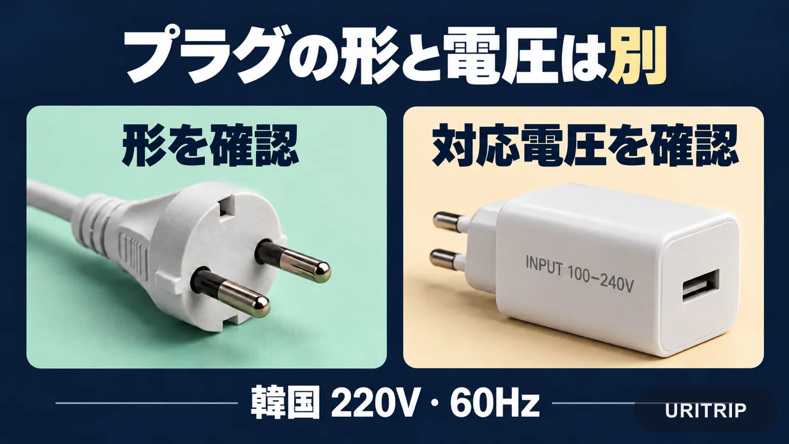 プラグの形と対応電圧を別々に確認し、韓国の電源が220V・60Hzであることを示した図