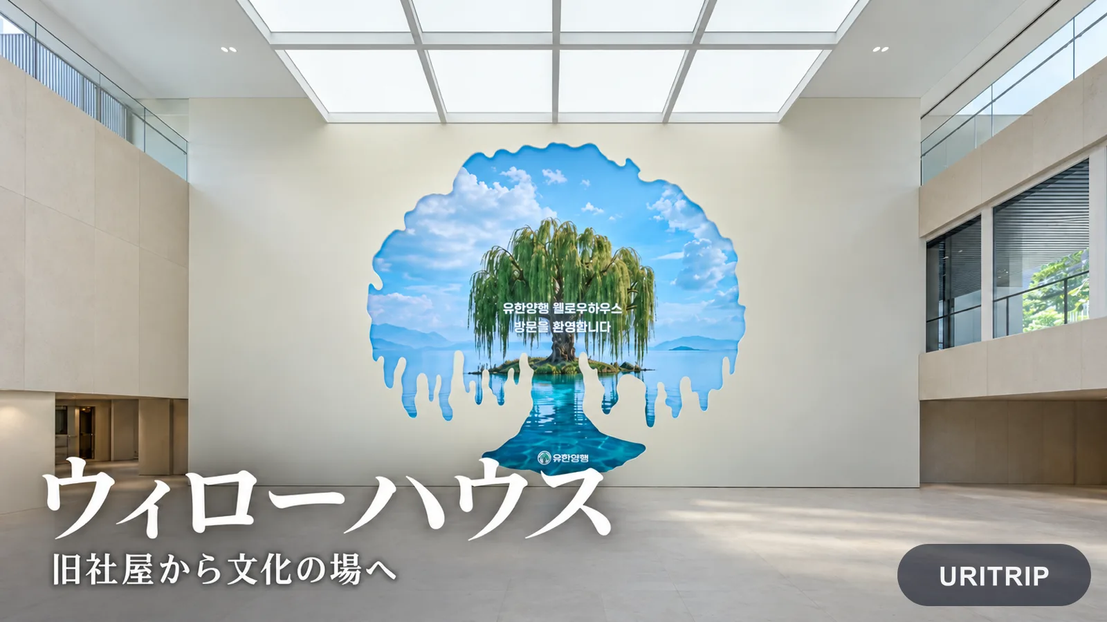ウィローハウスの明るい室内と、柳の木を映したメディアウォール