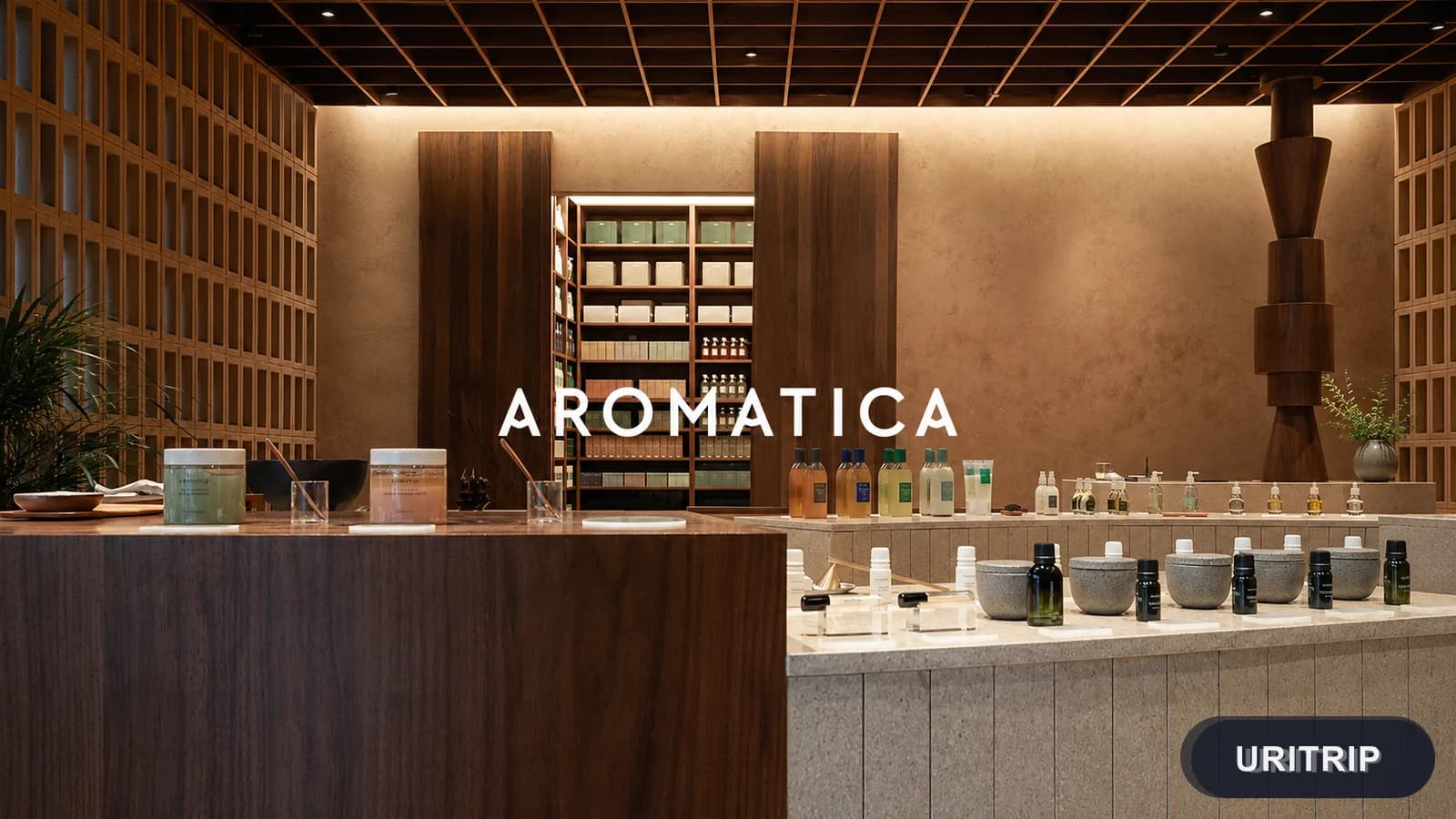 AROMATICA 新沙店(アロマティカ)