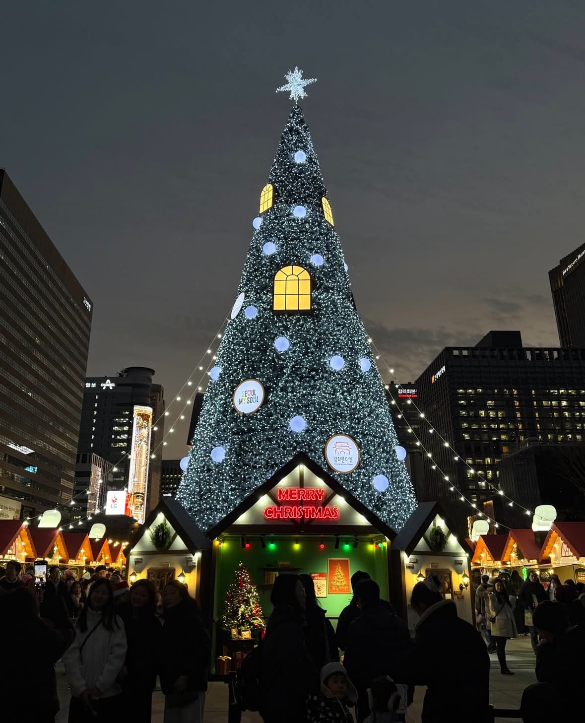 2025 光化門マーケット