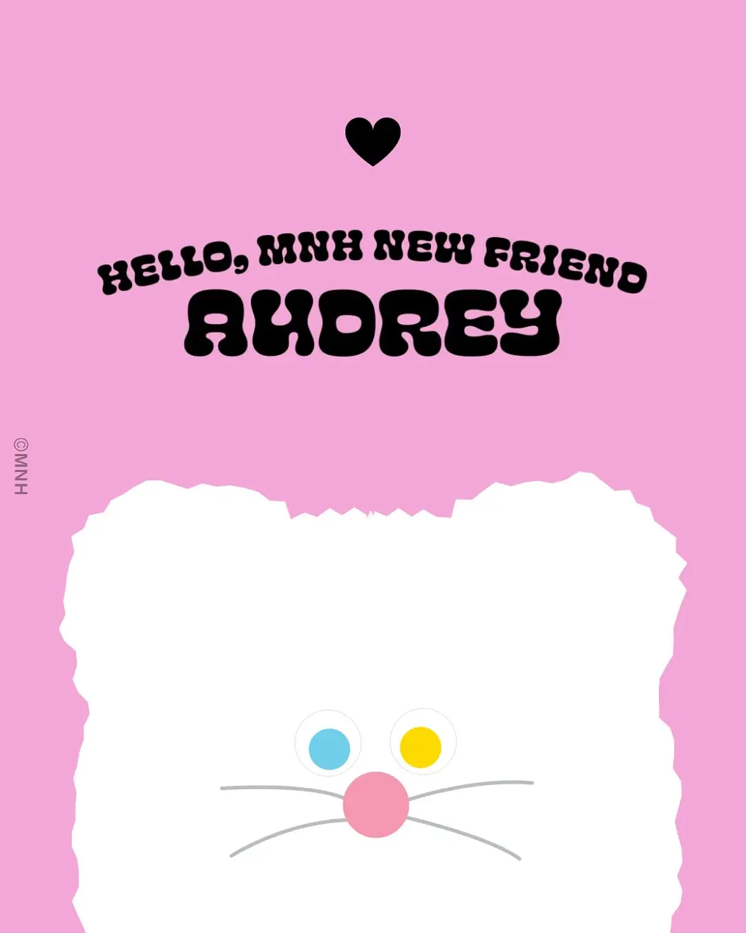 MNH 2025 new collection