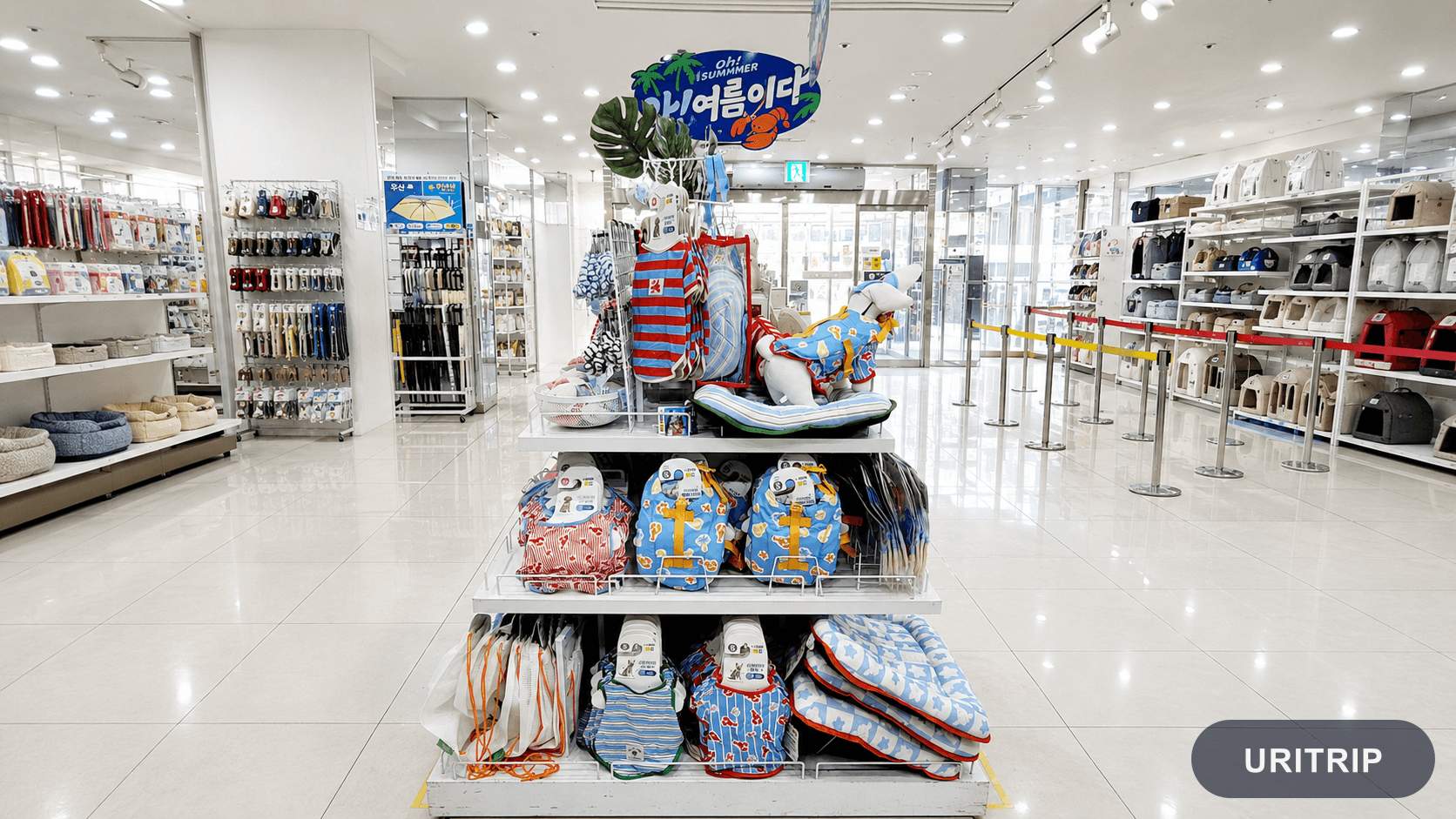 DAISO 明洞駅店 2