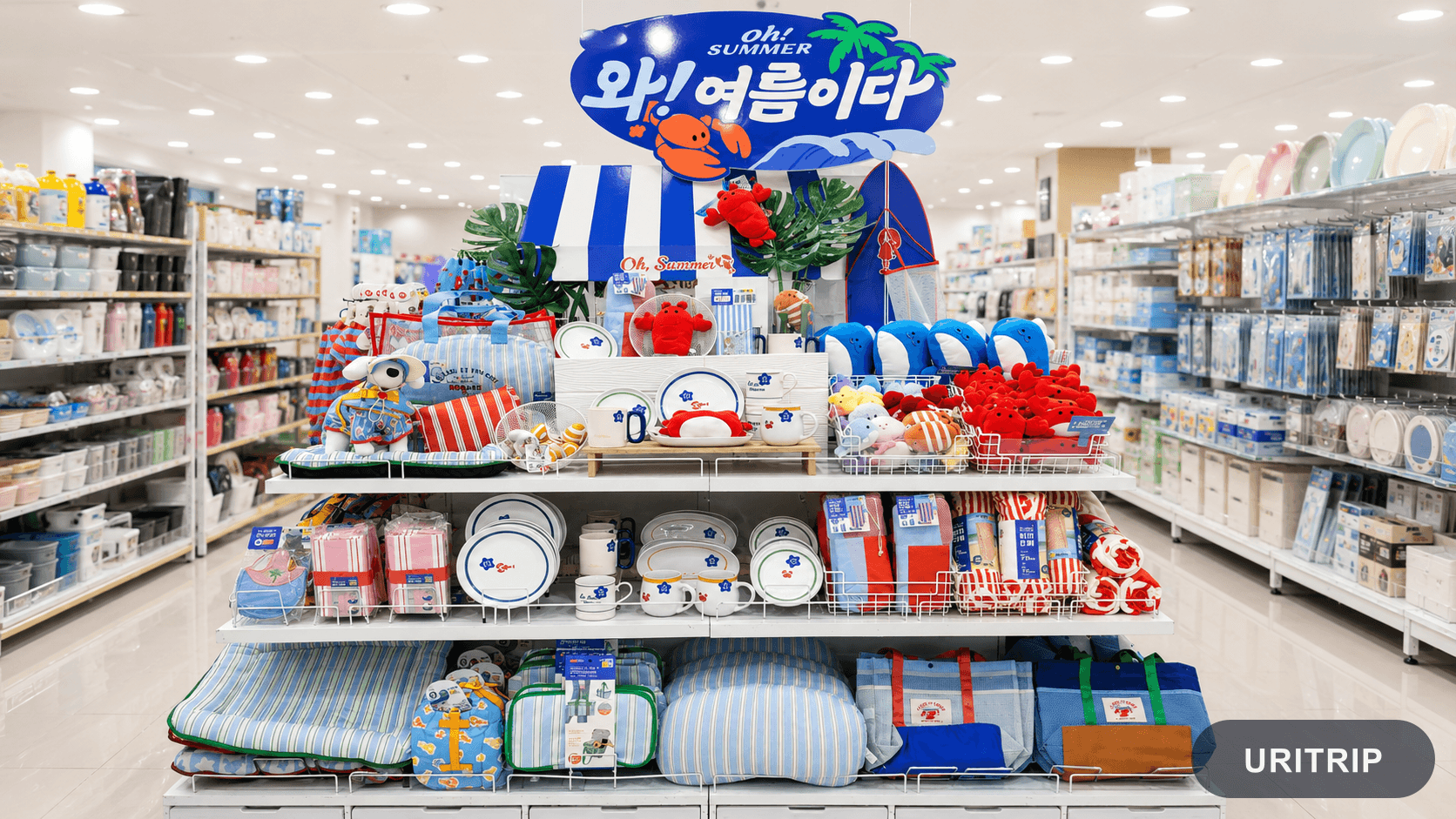 DAISO 明洞駅店 3