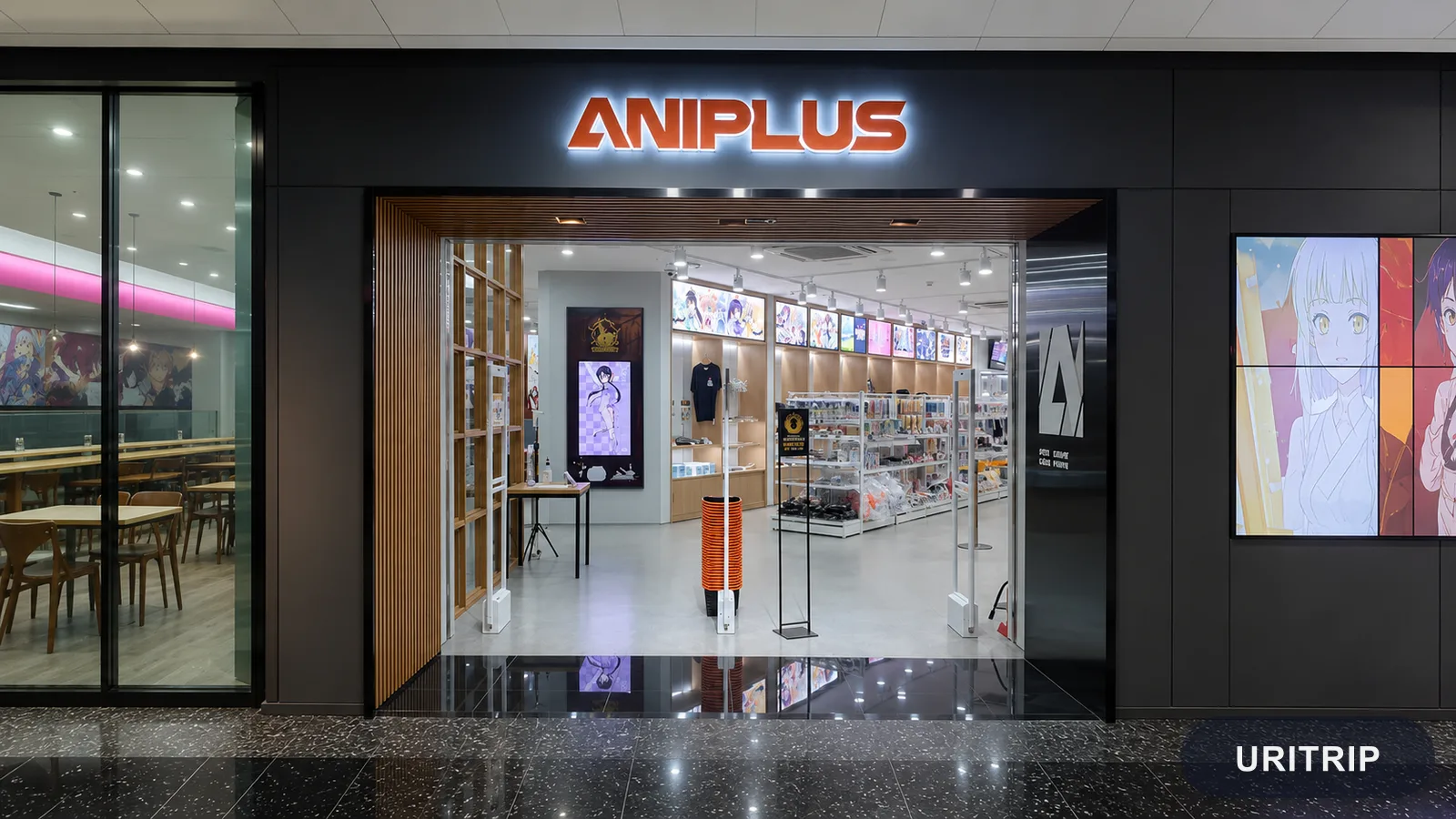 ANIPLUS ソウル合井店