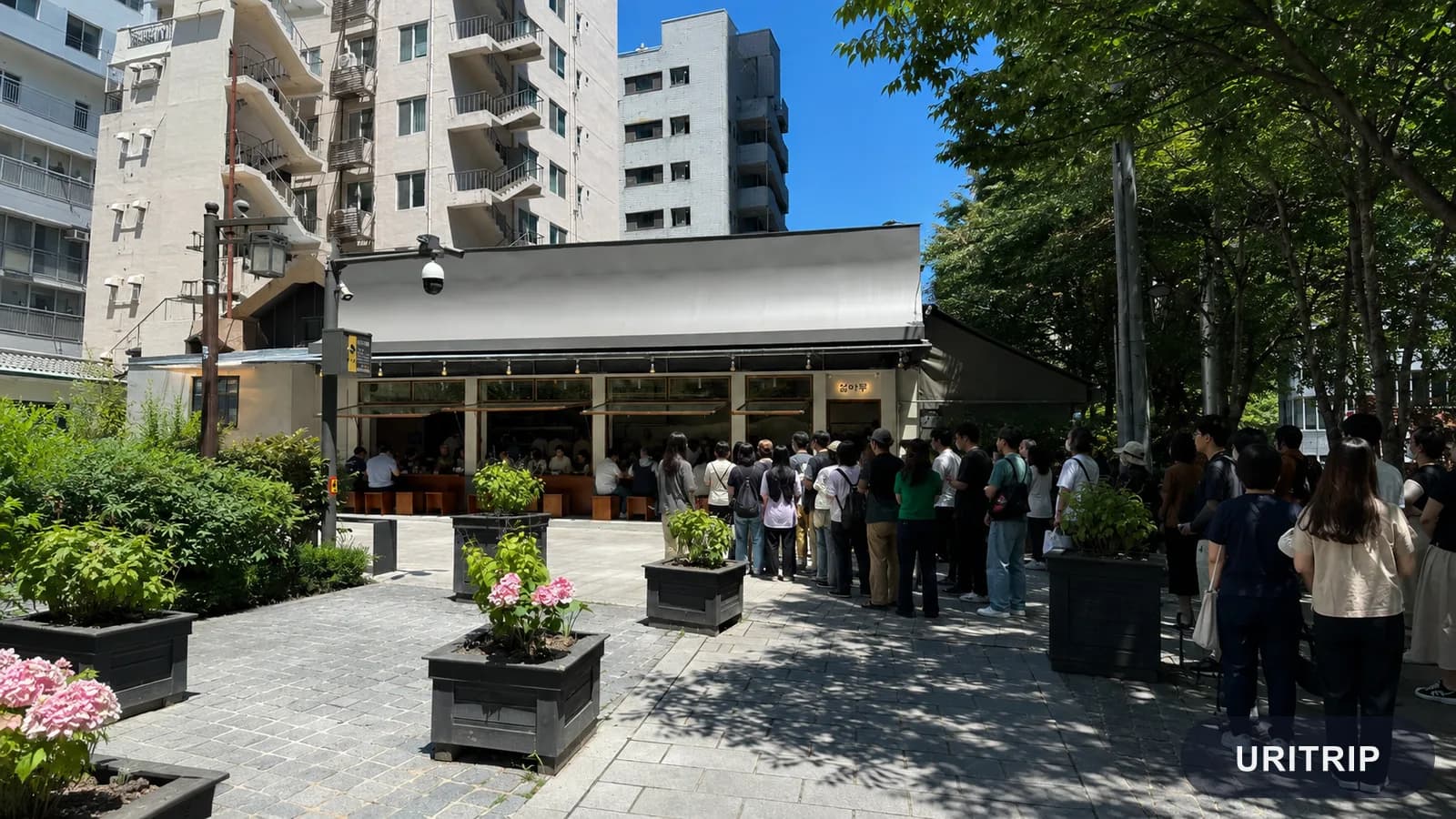 光化門カルグクスで味わう温カルグクスとトリョム式のご飯