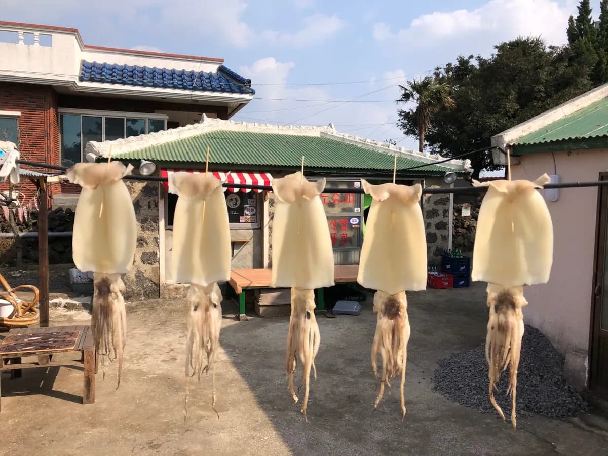 済州島らしい体験と温かみのある滞在を提供