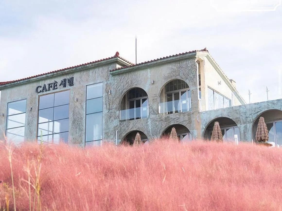 季節によって表情を変える「セビョルオルム」