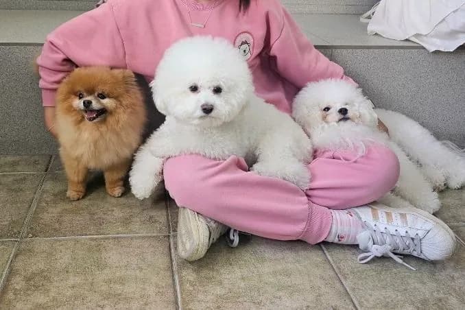 まるで家族の一員のように甘えてくれる