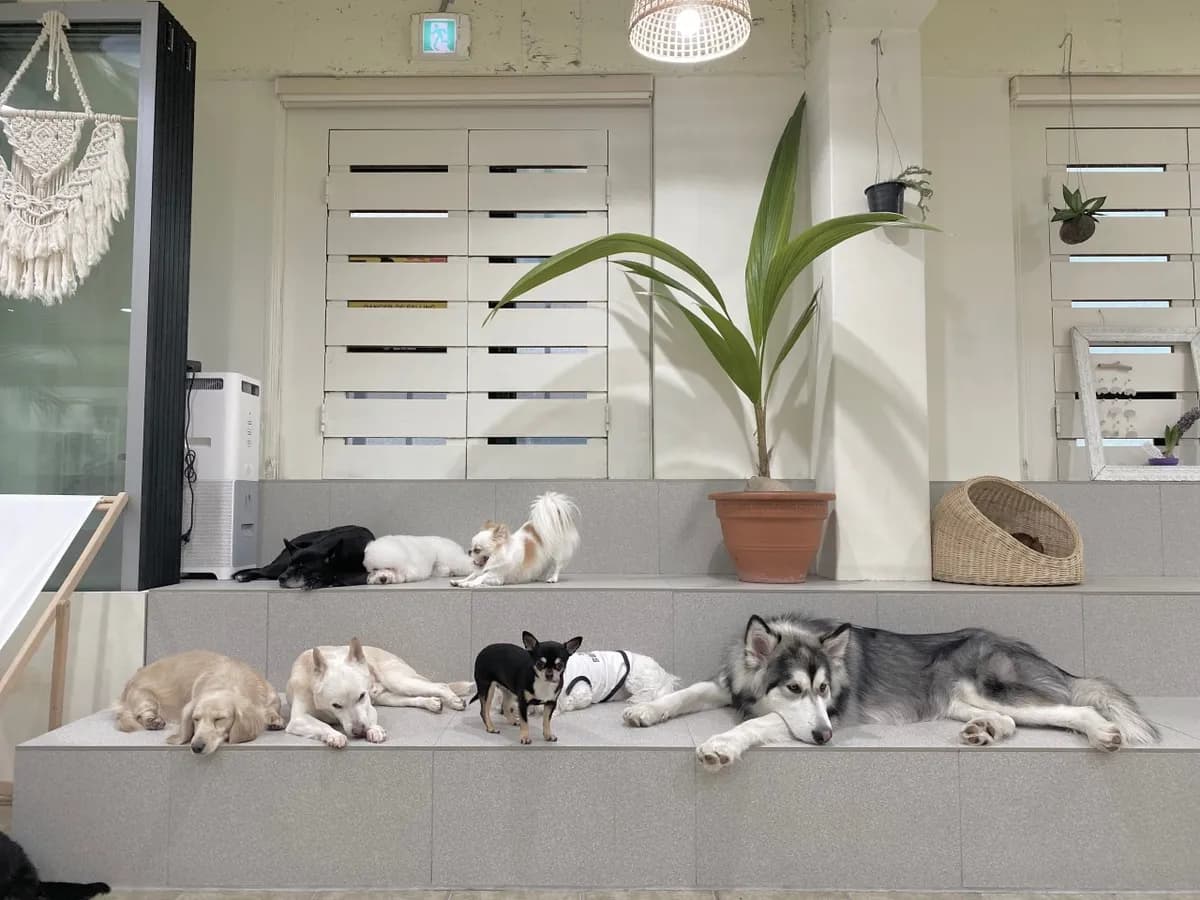 利用時間の中で存分に楽しむ