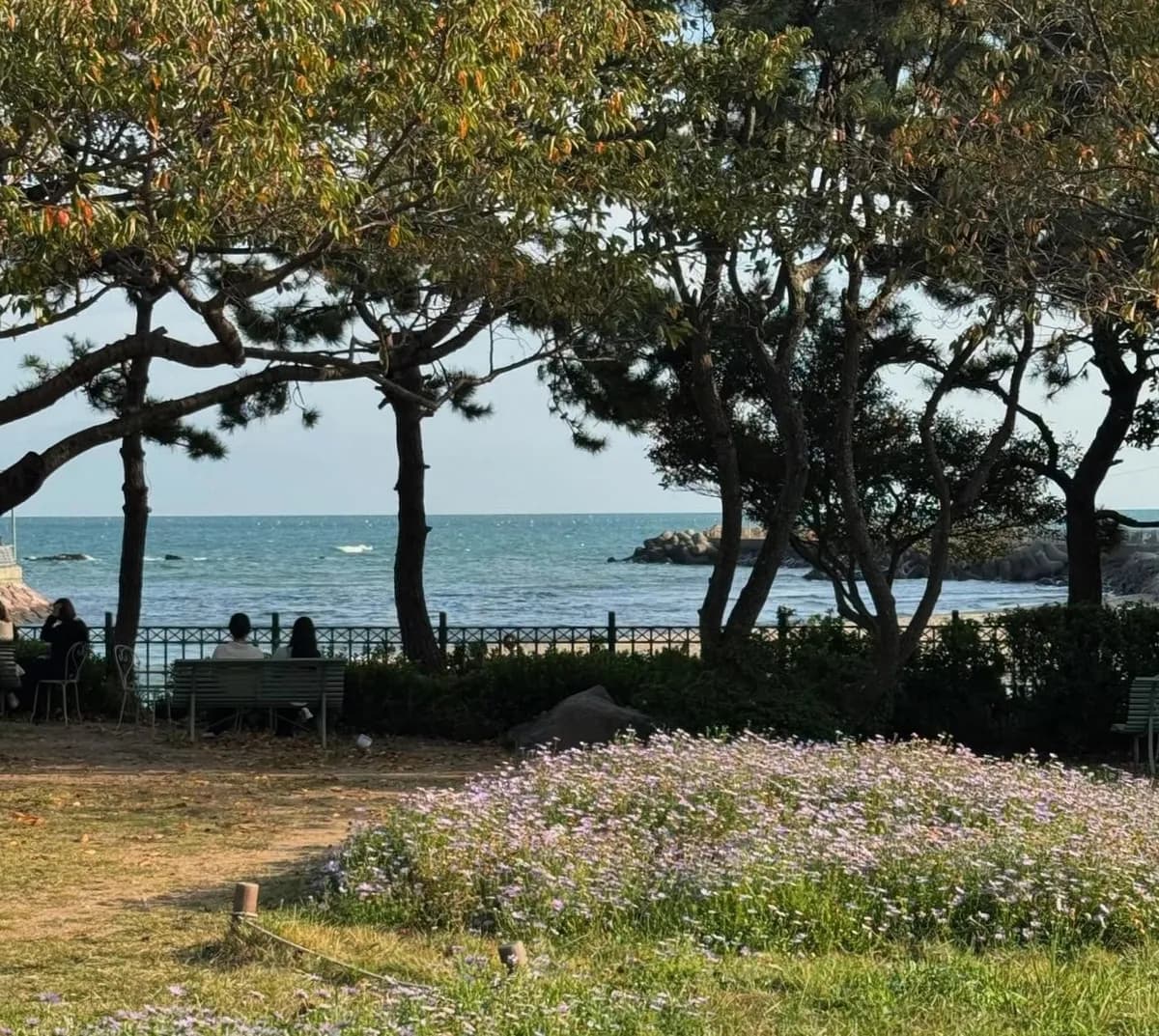 コーヒーを飲んだ後は庭園を散歩するのがおすすめ