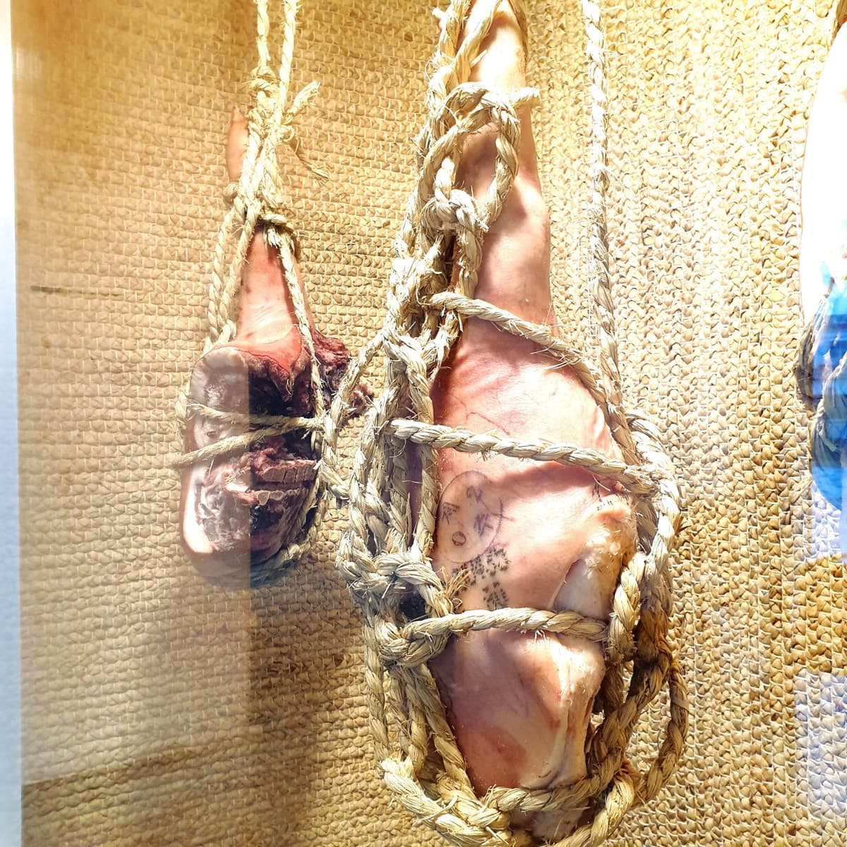 店の前に2年以上も吊られている「腐らない豚」