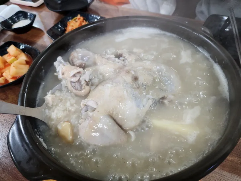 鶏肉の水炊き