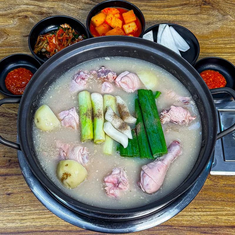 鶏の水炊き