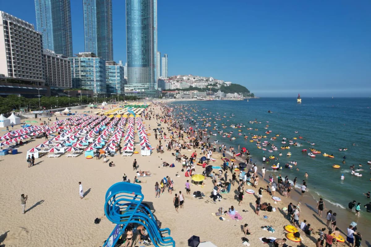 一年中観光客に人気のスポット