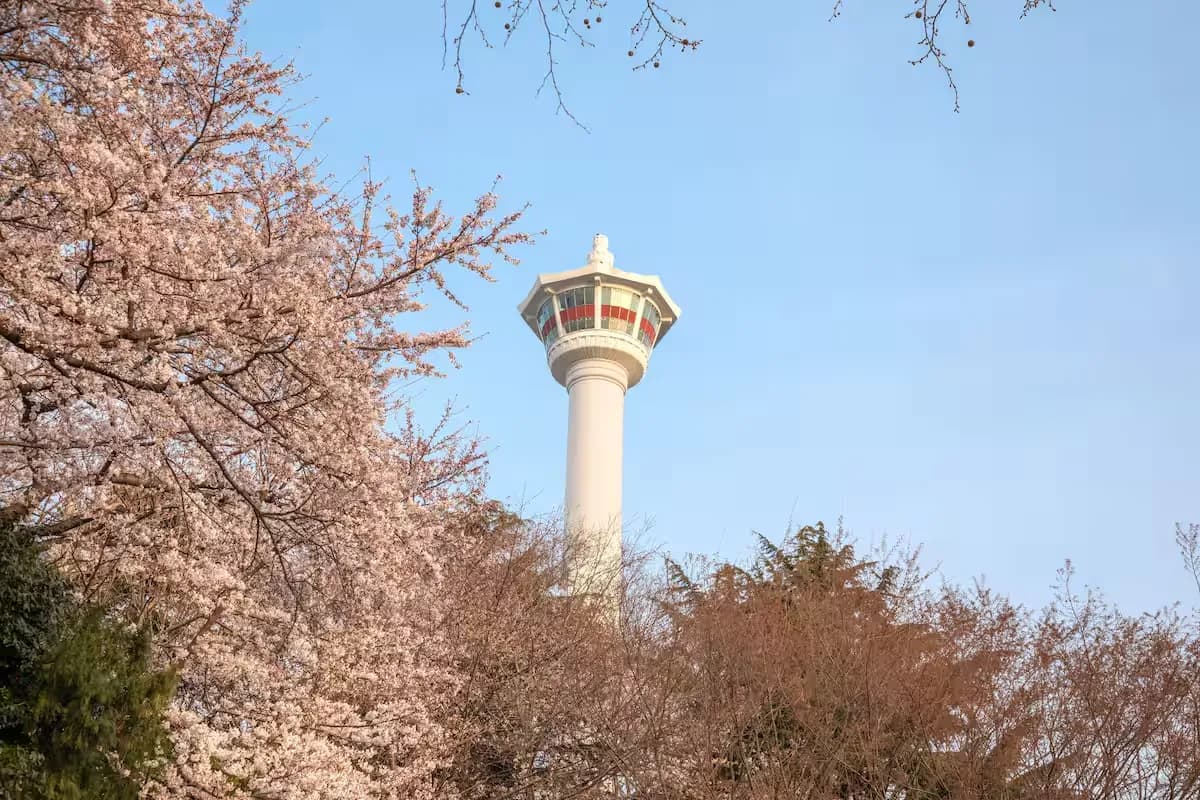 春は桜の名所として有名