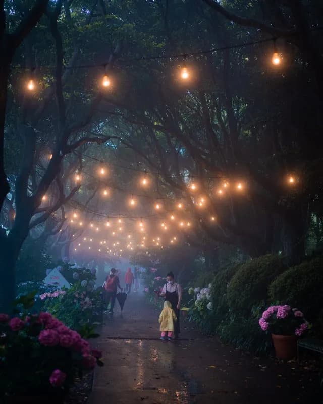 카멜리아힐 / カメリアヒル