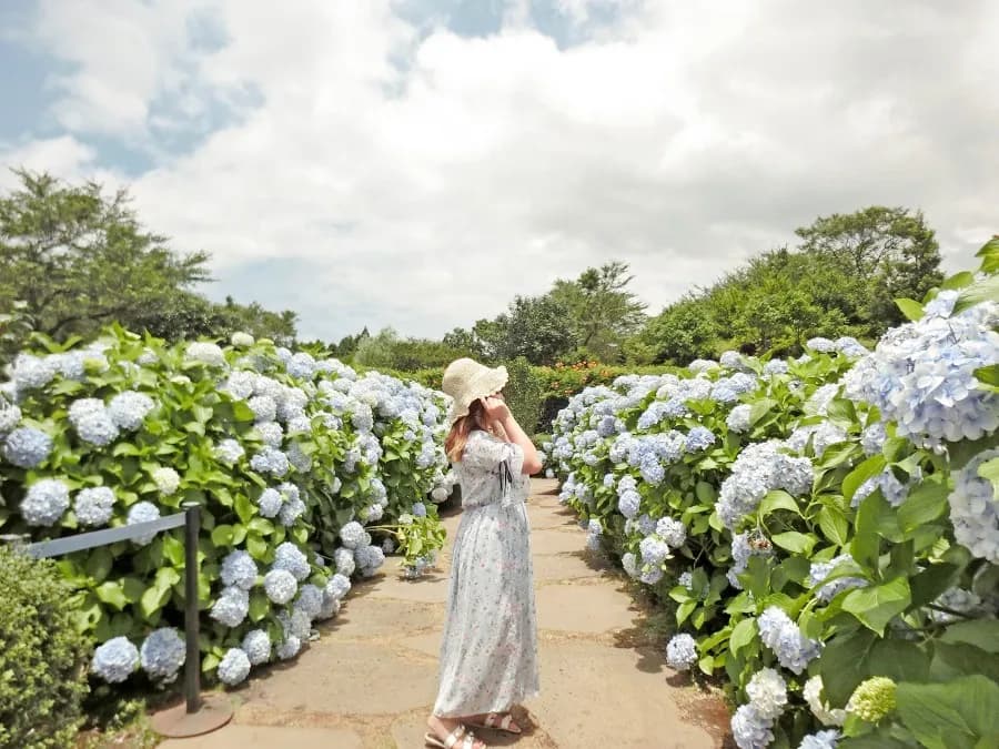 BTSの聖地巡礼スポットとしても有名