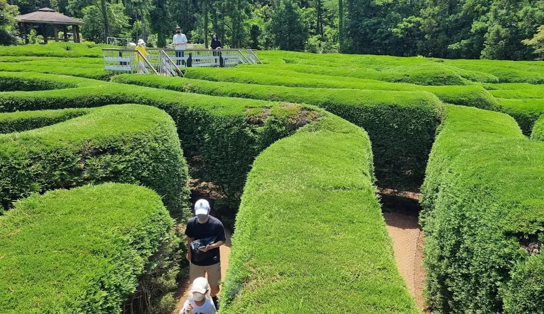 写真映え抜群のフォトスポット