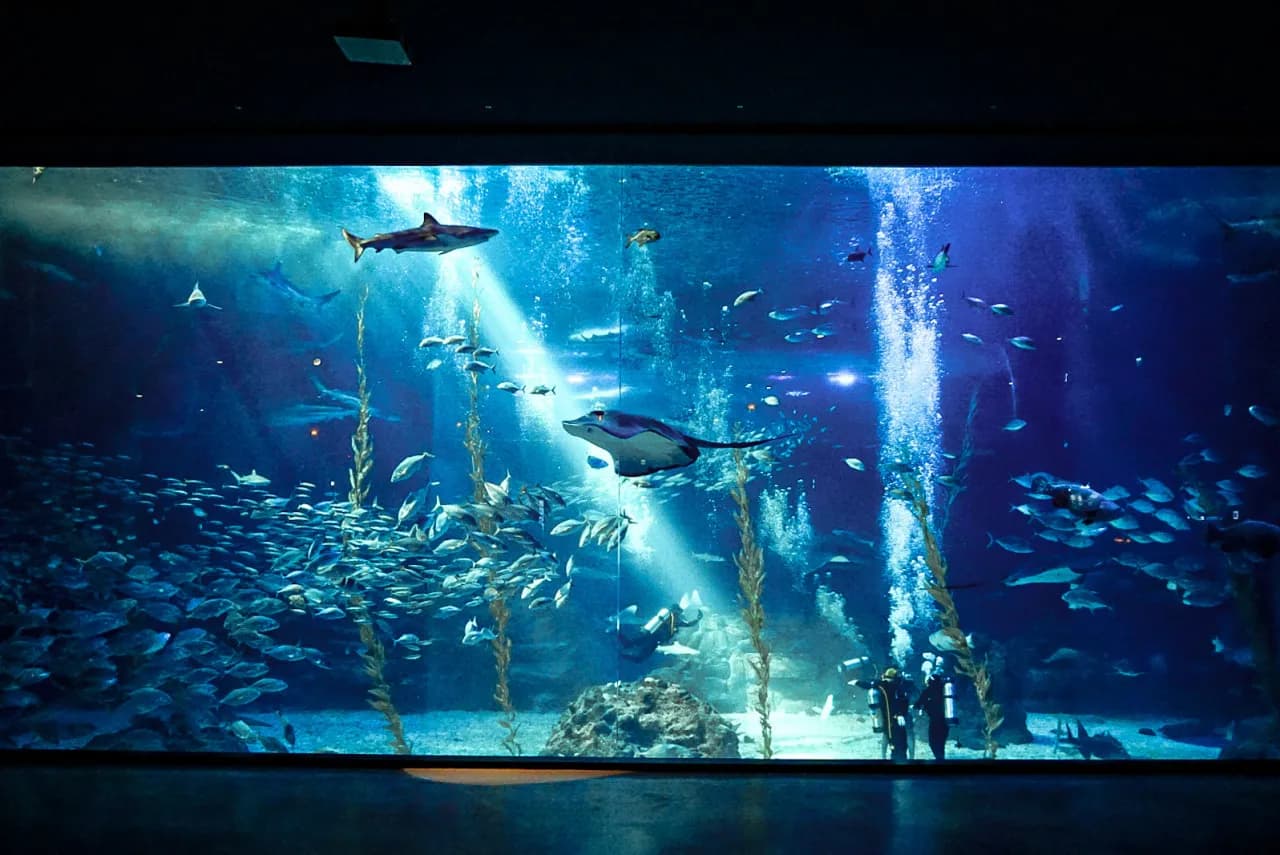 地下1階にあるメイン水槽「済州の海」