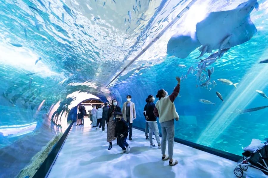 子供達に人気の「体験ゾーン」