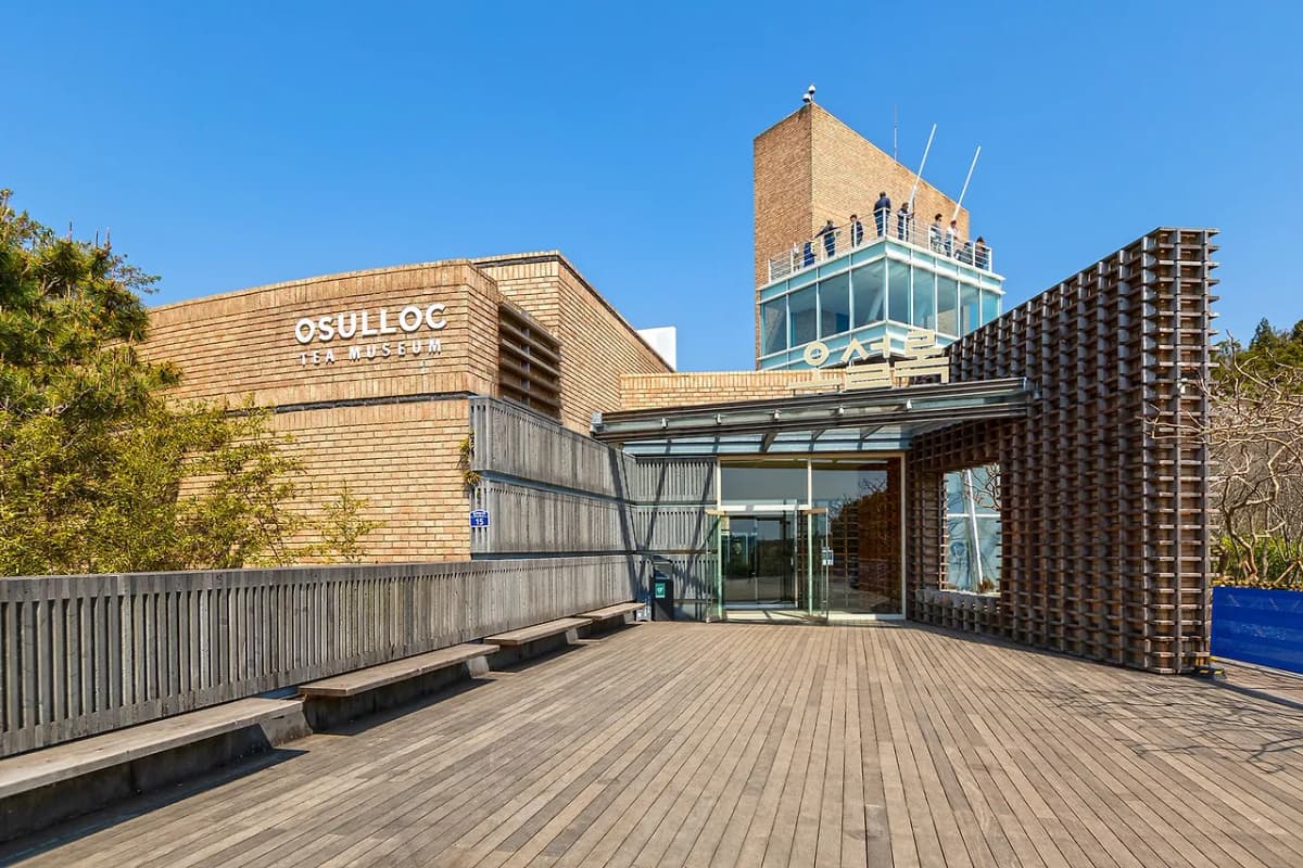 o’sulloc tea museum