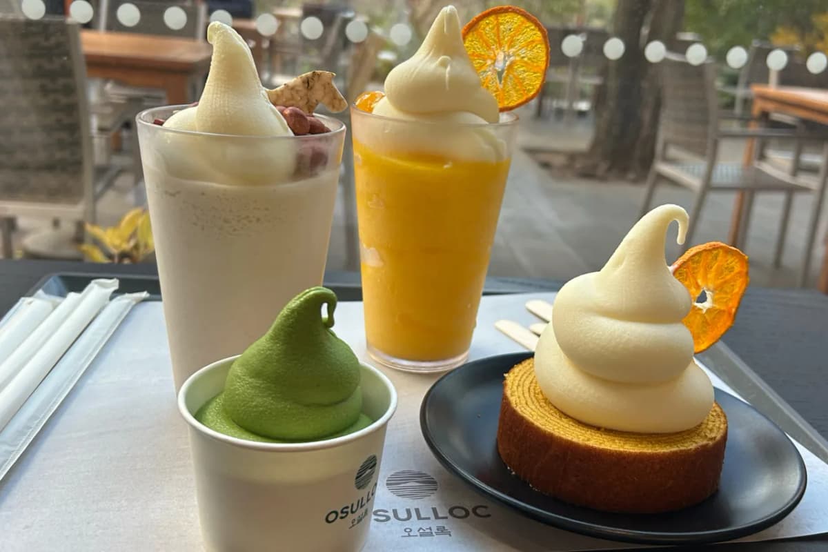済州の味を楽しめる「緑茶スイーツ」が充実