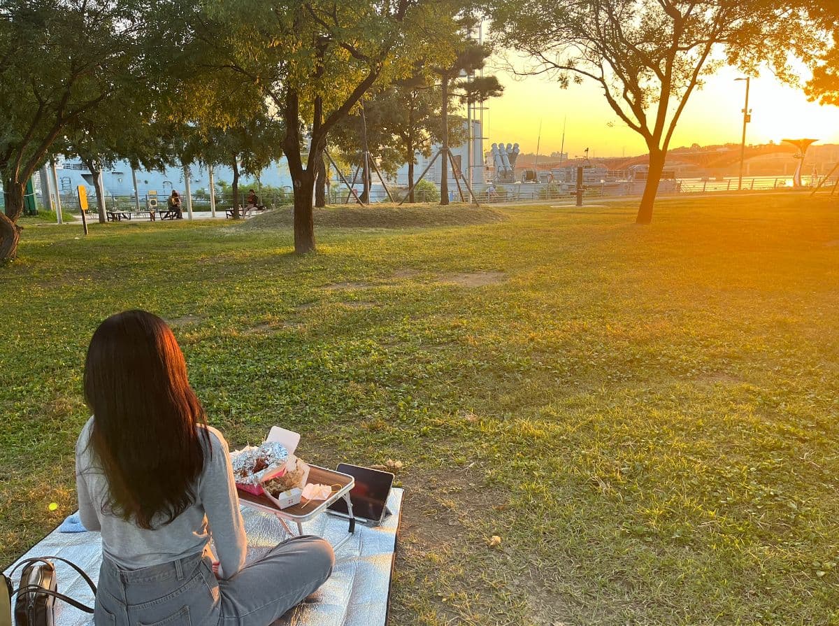 望遠漢江公園