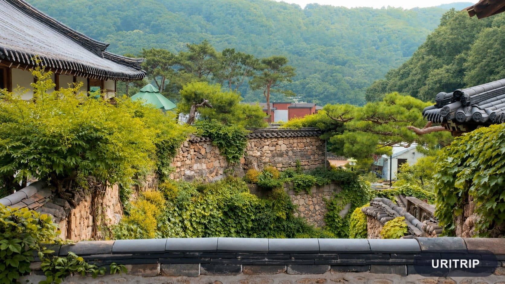 初めての韓国旅行は何泊がおすすめ?2泊3日と3泊4日を「動ける時間」で比べてみた