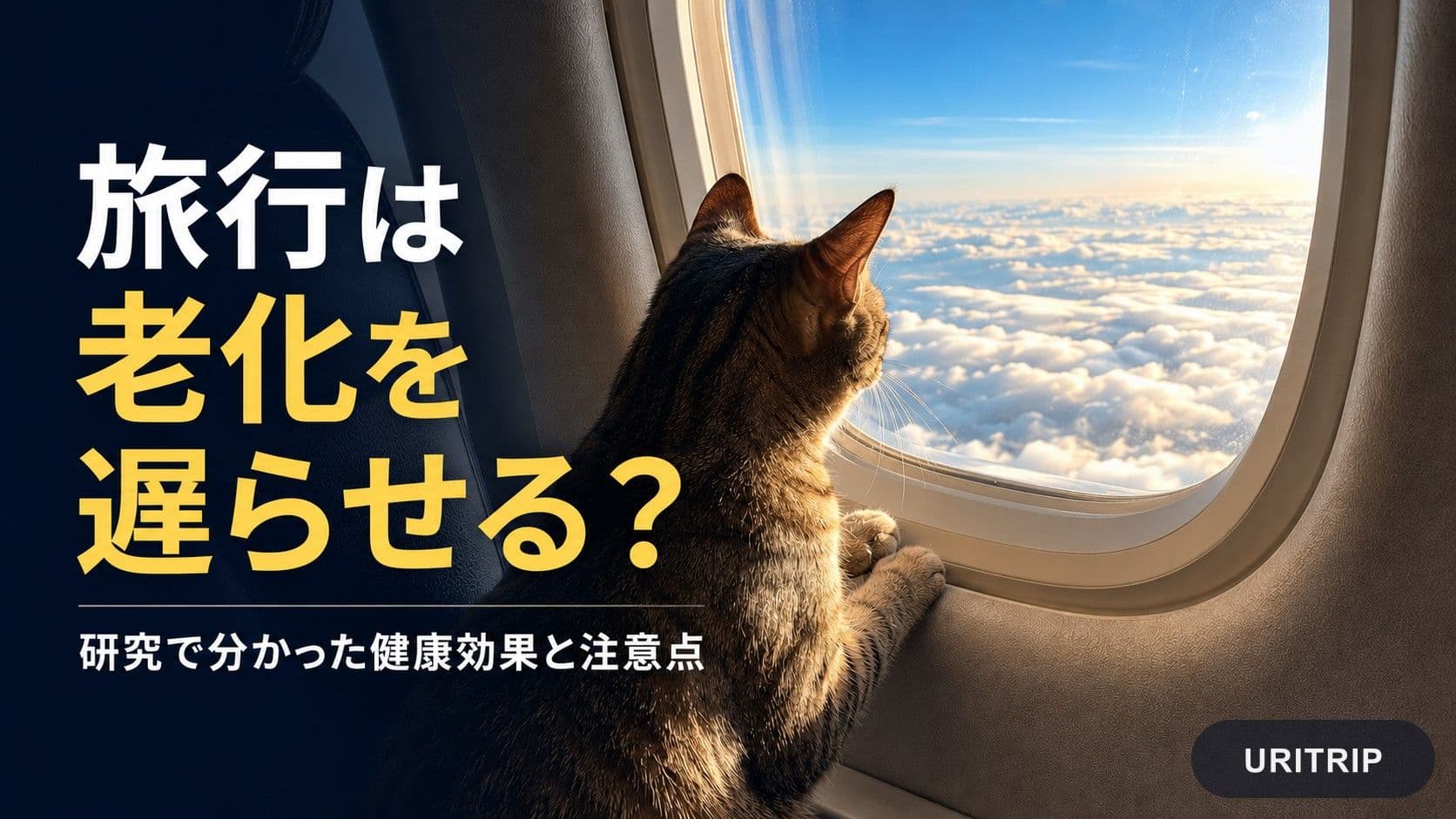 旅行は老化を遅らせる?研究で分かった健康効果と注意点