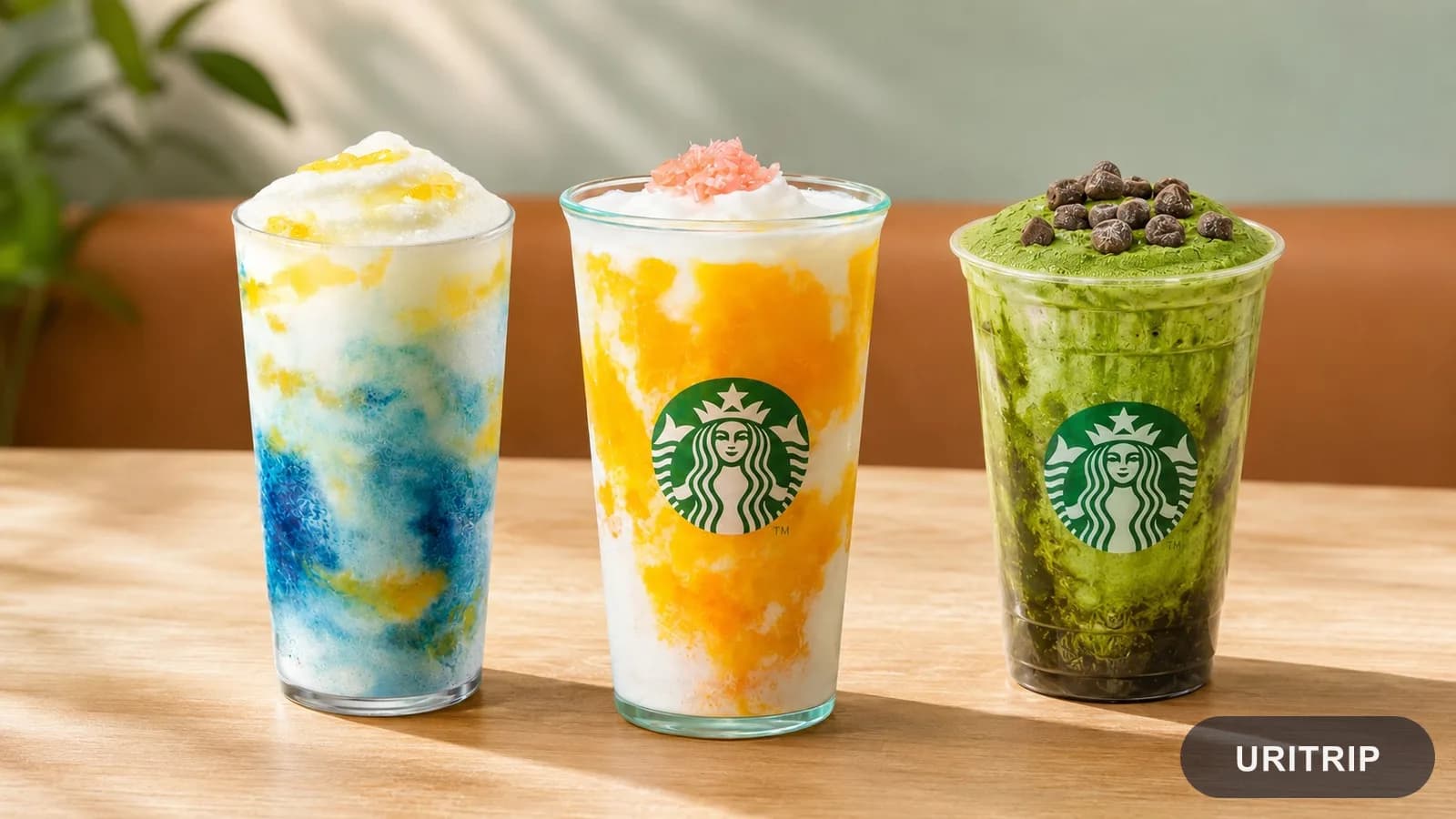 韓国スタバ2026夏「ココ・フラペチーノ」3種類を比較!味とおすすめは?