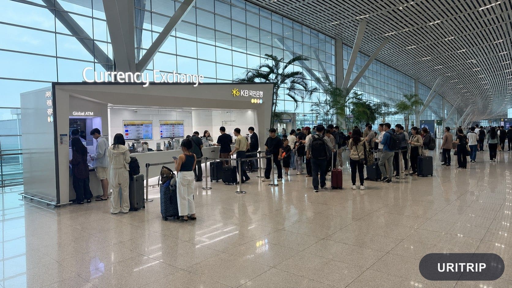 韓国旅行の両替はどこが安い?空港・明洞・WOWPASSを比較【2026年最新ガイド】