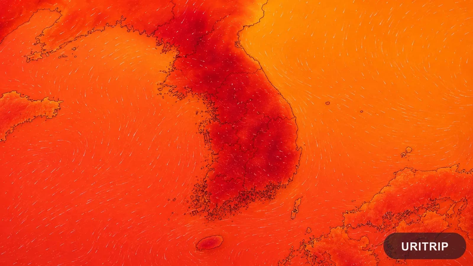 2026年8月7日ソウルで40.2℃を観測!公式気温との違いと旅行中の猛暑対策