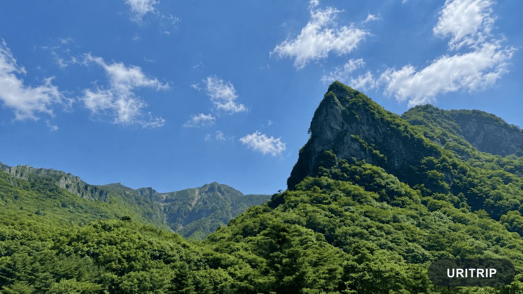 漢拏山国立公園