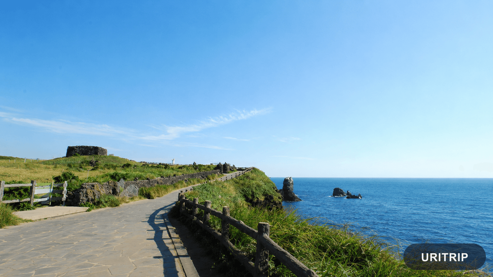 菜の花・草原・火山地形の散策路
