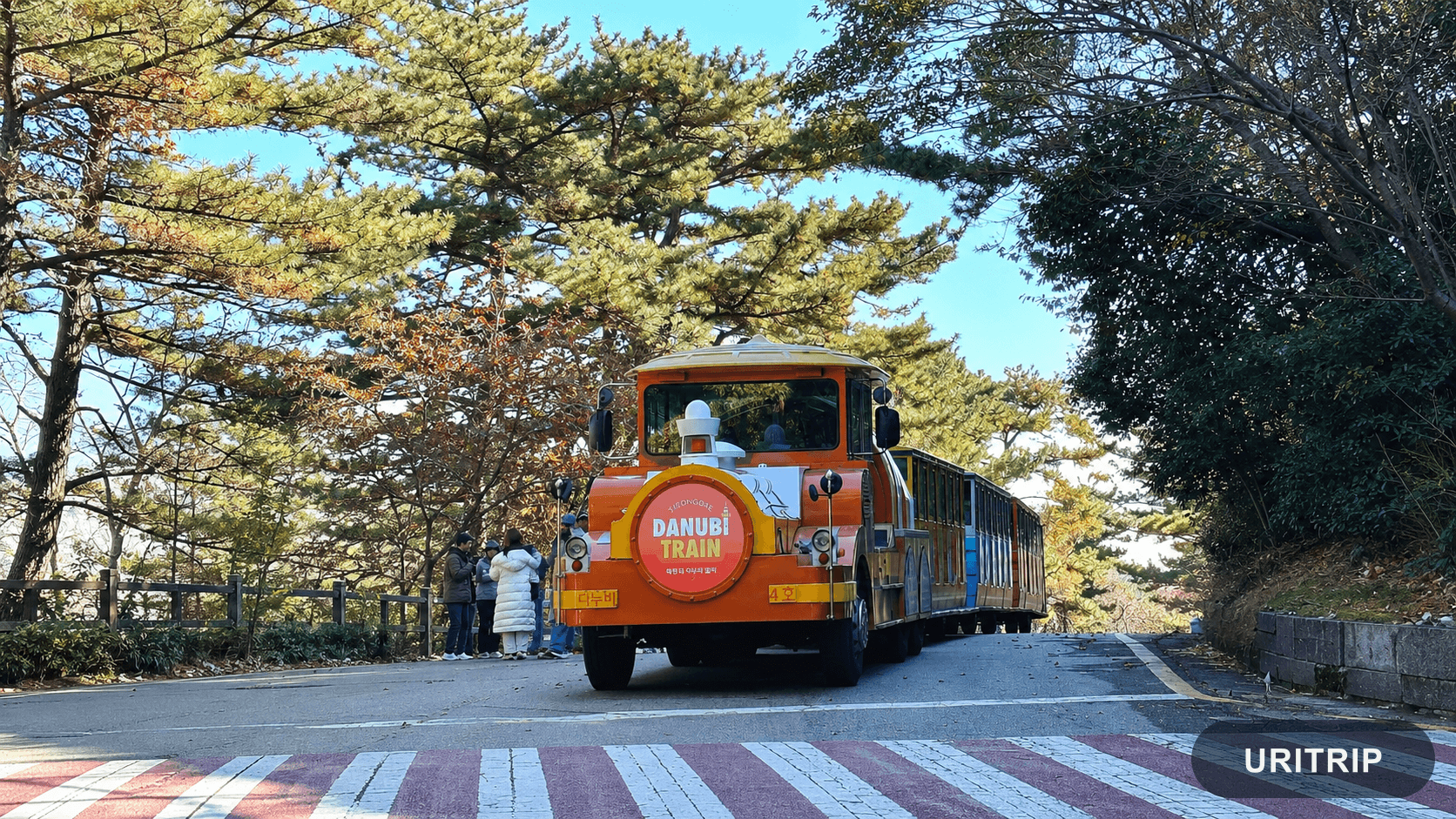 タヌビ列車を使うと移動が楽